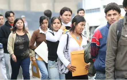 Avisos y Anuncios en el Distrito Cercado de Lima Empleos, Vehículos y Terrenos